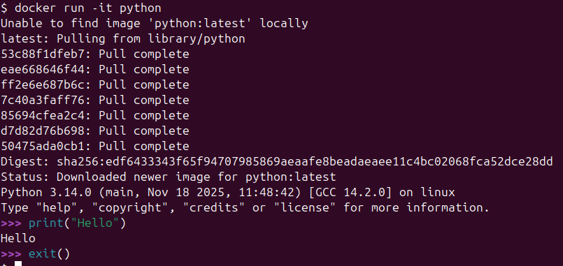 Python interactive mode